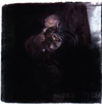 Monumentum (ITA) : Musaeum Hermeticum